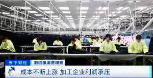 羽絨服輪番漲價(jià) 中高端產(chǎn)品還賣得更火了？